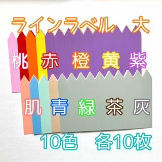 ◎ 100枚 ◎ 10色 (大) ラインラベル 園芸ラベル カラーラベル(プランター)