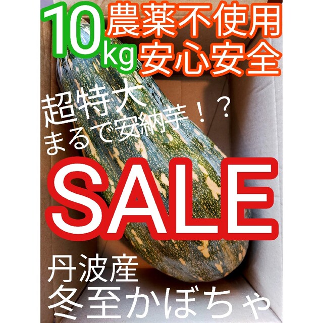 ✨安心安全 農薬不使用✨　激甘　まるで安納芋　完熟　かぼちゃ　野菜詰め合わせ 食品/飲料/酒の食品(フルーツ)の商品写真