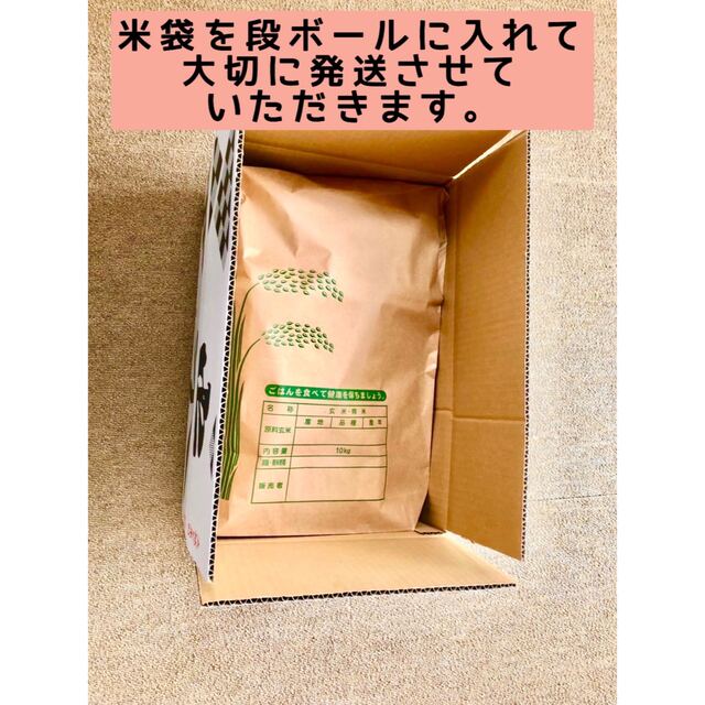 【新米】令和4年産 北海道米　ゆめぴりか　玄米　10kg