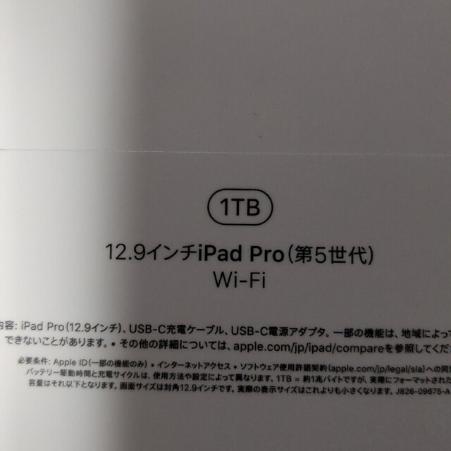 iPad Pro 12.9  第5世代 WiFi 1TB 16G スペースグレイ