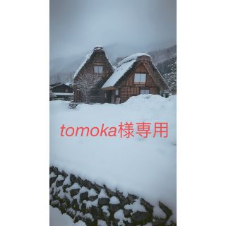 tomoka様専用(洗顔料)