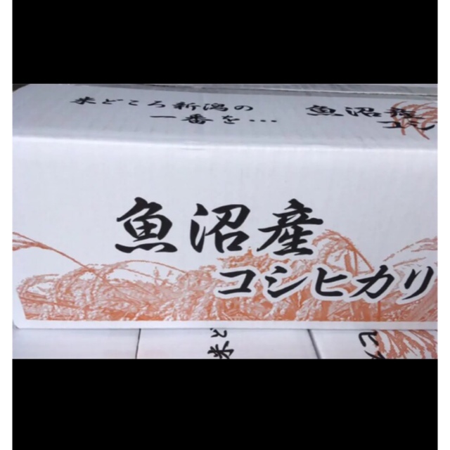 11/8迄！令和4年産　新米　中米　新潟県南魚沼産コシヒカリ　5kg 精米 食品/飲料/酒の食品(米/穀物)の商品写真