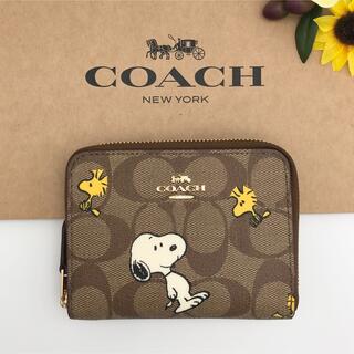 コーチ(COACH)のCOACH 大人気 スモールジップアラウンドウォレット スヌーピー カーキ 新品(財布)