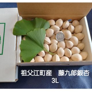 愛知県稲沢市祖父江町産　大粒　3L 藤九郎銀杏　ぎんなん　300g(野菜)