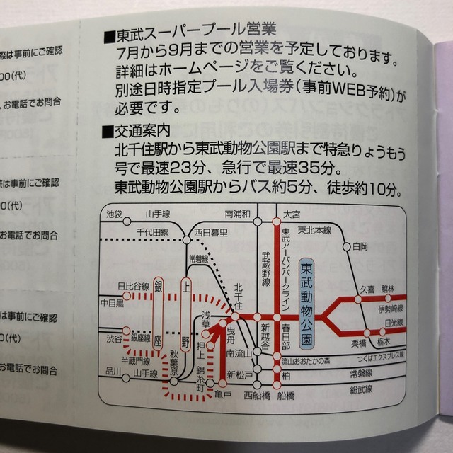 東武動物公園 特別入園券&アトラクションパス優待割引券 3枚セット チケットの施設利用券(動物園)の商品写真