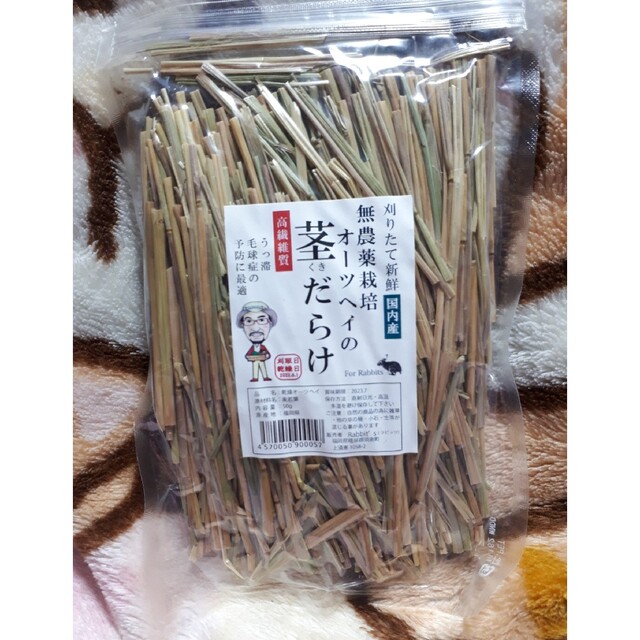 オーツヘイの茎だらけ ラビッツ うさぎの通販 by どんちゃん's shop|ラクマ