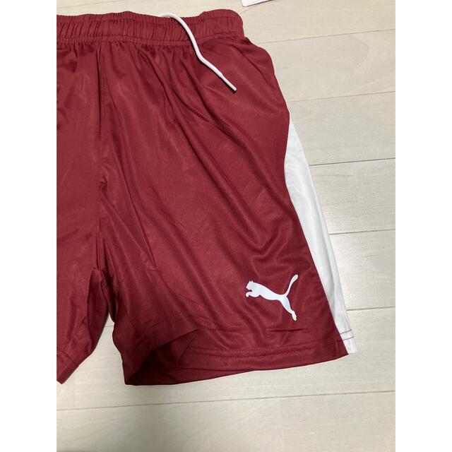 有名な プーマ サッカーウェア ゲームパンツ ジュニア LIGA コア 729970-04 PUMA サッカーパンツ ハーフパンツ 赤白3枚セット ひんやりタオル付き