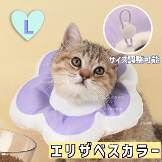 【パープルL】ソフト エリザベスカラー 術後ウェア 猫犬 皮膚病 雄雌 撥水防水(猫)