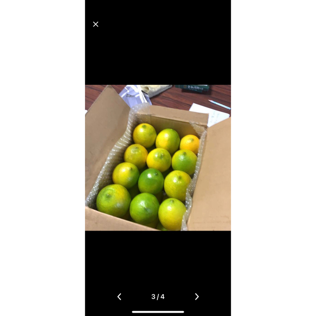 国産マイヤーレモン３キロ 食品/飲料/酒の食品(フルーツ)の商品写真