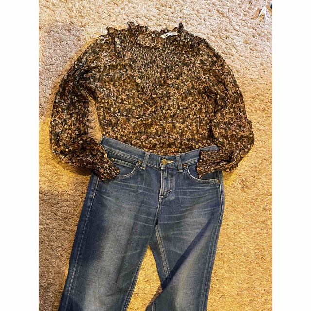 ZARA(ザラ)のZARA シアーブラウス　XS 新品 レディースのトップス(シャツ/ブラウス(長袖/七分))の商品写真