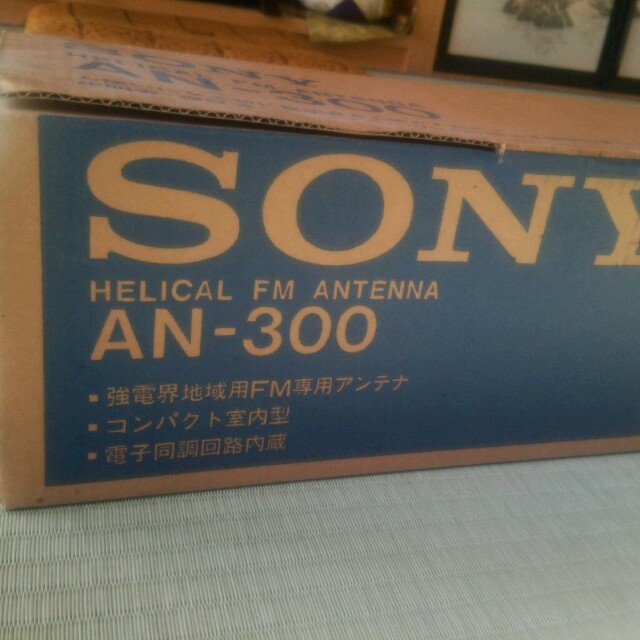 SONY(ソニー)のFM 専用アンテナAN-300  その他のその他(その他)の商品写真