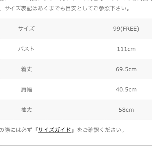 NANGA グランドパーク別注ダウン - 9