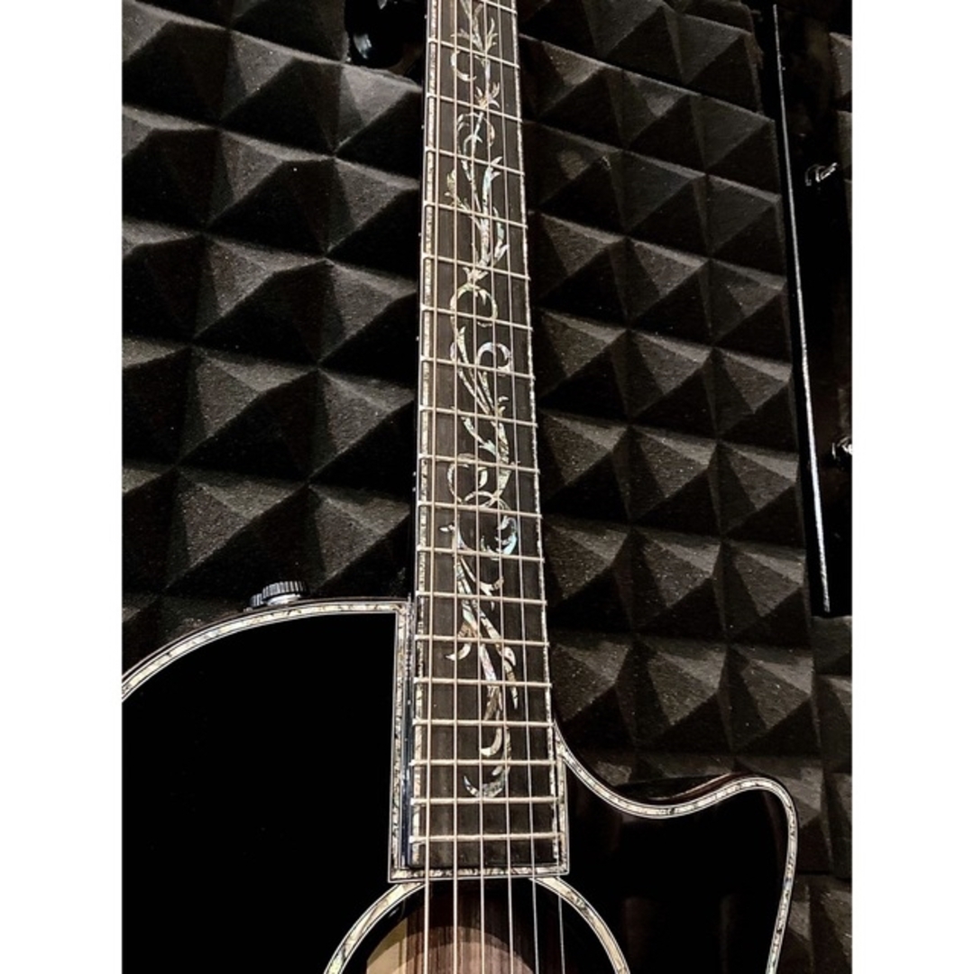 Global Guitar インレイ エレクトリックアコースティックギター 楽器のギター(アコースティックギター)の商品写真