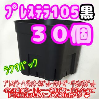 【スリット鉢】プレステラ105黒30個 多肉植物 プラ鉢 -ラクマパック-(プランター)