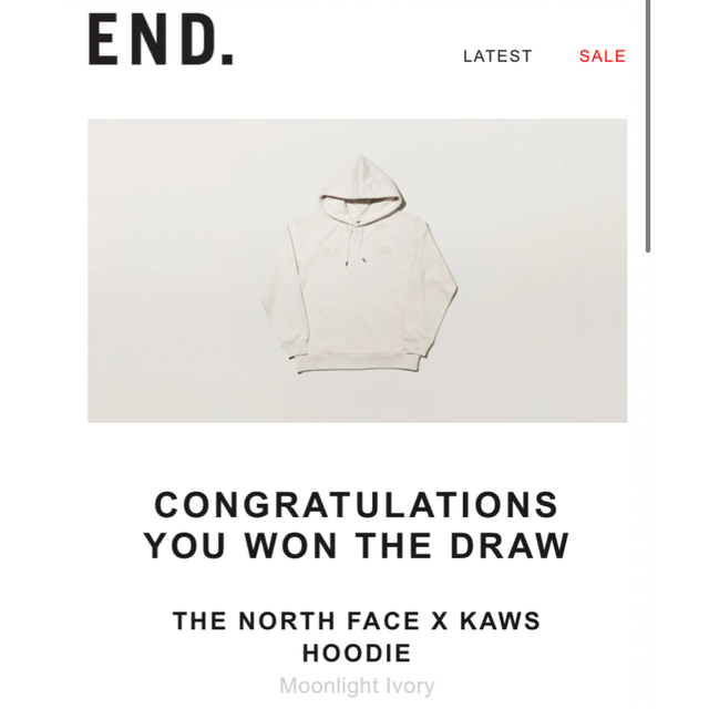 kaws north face パーカー