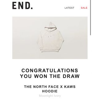 ザノースフェイス(THE NORTH FACE)のkaws north face パーカー(パーカー)