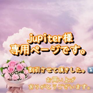 エゴイスト(EGOIST)の【新品に近い　未使用】エゴイスト　ラインショートニットカーデ  グレー(ニット/セーター)