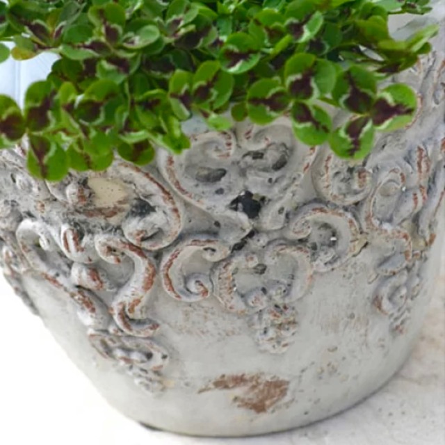 Sarah Grace(サラグレース)のクレスト・ラウンドポット S　レリーフ付　アンティーク調陶器鉢 ハンドメイドのフラワー/ガーデン(プランター)の商品写真