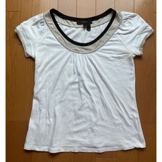 マックスマーラ(Max Mara)の☆Max Mara レディースTシャツ☆╰(*´︶`*)╯♡(Tシャツ(半袖/袖なし))