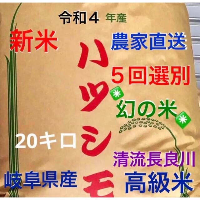 つや姫✳️令和４年産✳️新米・採れたてハツシモ100%5回選別20キロ