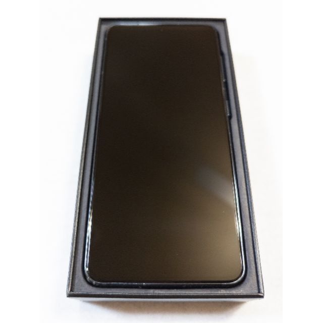 Samsung Galaxy S21 SCG09 グレー SIMロック解除済み-fizikalcentar.rs