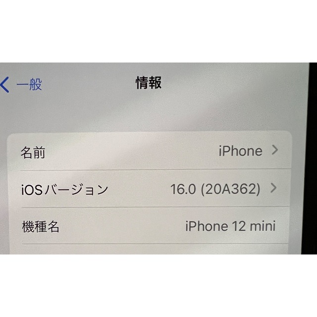 新品 iPhone 12 mini 256GB ブルー SIMフリー