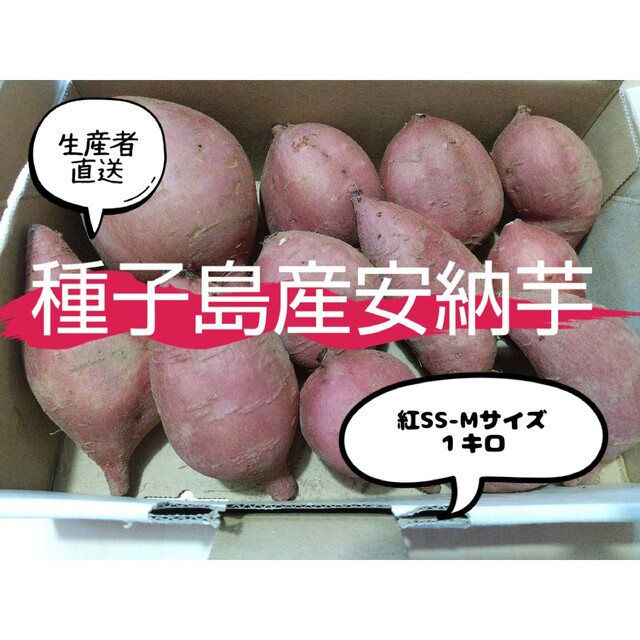 種子島産安納芋紅１キロ 食品/飲料/酒の食品(野菜)の商品写真