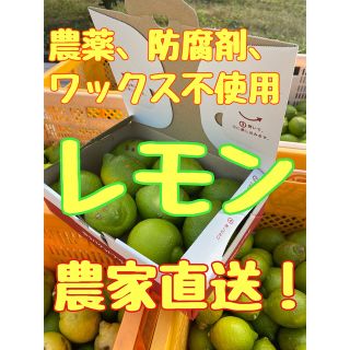 無農薬レモン　農家直送　瀬戸内レモン　国産レモン　岡山県産　レモン(フルーツ)