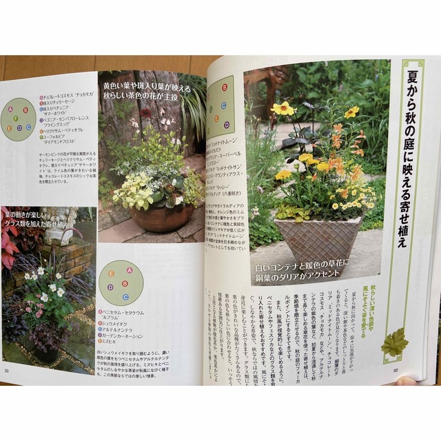 自分でつくるおしゃれで小さな庭 おしゃれな実例とていねいなプロセス写真で庭づくり エンタメ/ホビーの本(趣味/スポーツ/実用)の商品写真