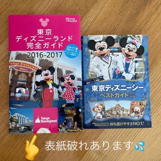 ディズニー(Disney)の2冊セット⭐︎東京ディズニーランド完全ガイド& 東京ディズニーシーベストガイド(地図/旅行ガイド)