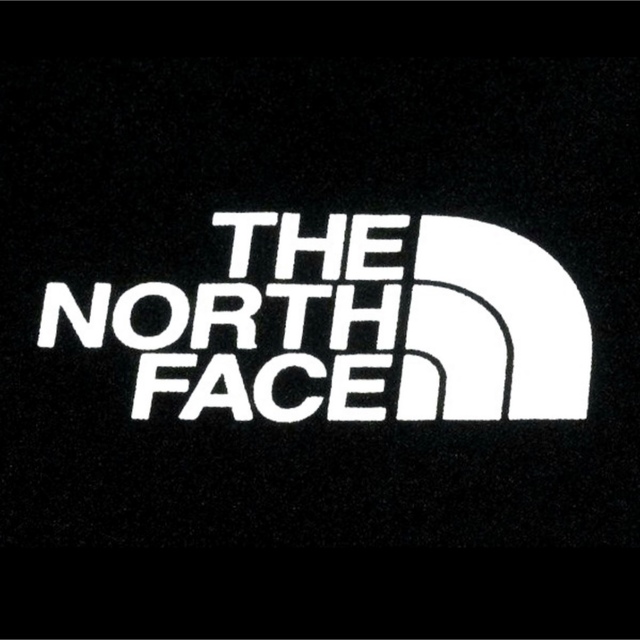 THE NORTH FACE APEX FLEX HOODIE - L 5