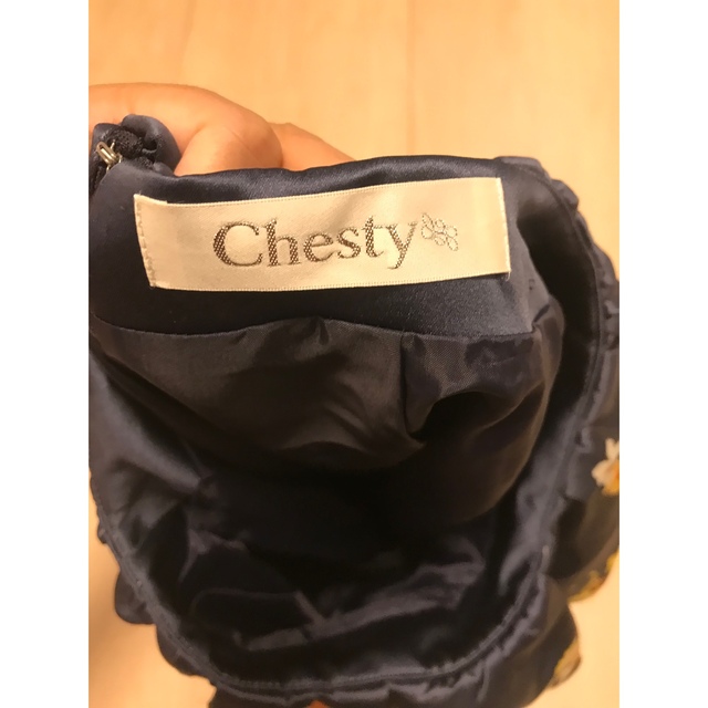 Chesty(チェスティ)のチェスティ  小鳥さんスカート  レディースのスカート(ひざ丈スカート)の商品写真