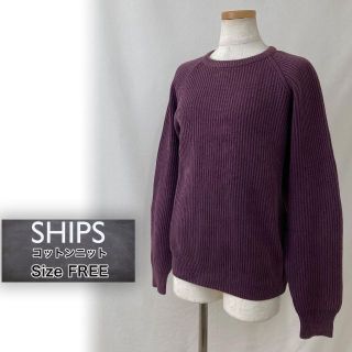 シップス(SHIPS)のSHIPS シップス コットンニット パープル レディース(ニット/セーター)