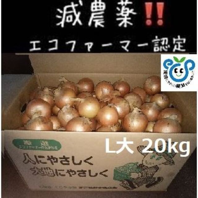 北海道産玉ねぎ 20kg L大 サイズ 食品/飲料/酒の食品(野菜)の商品写真