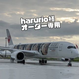 多肉植物❤harurio様専用❤リメ鉢❤グラデーション❤4個セット❤(その他)