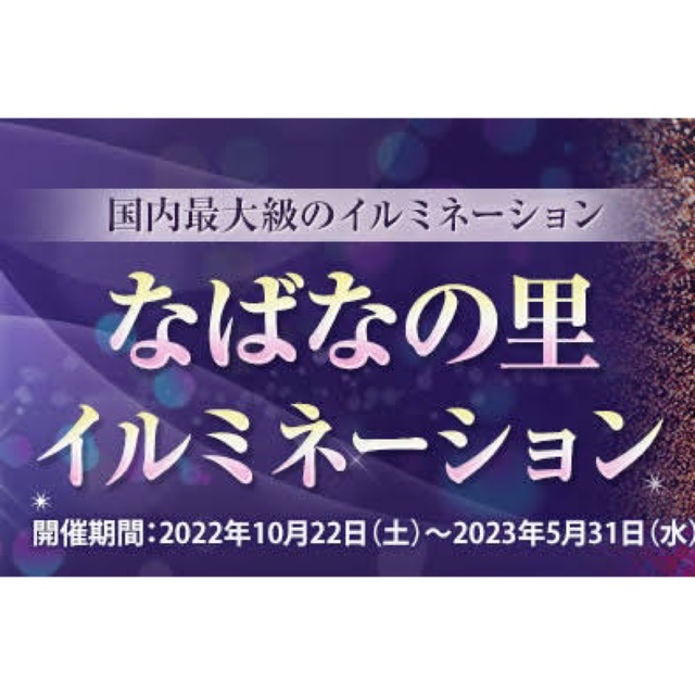 なばなの里イルミネーション：２枚