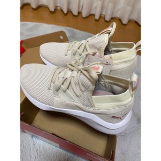 プーマ(PUMA)の【新品】PUMA ランニングシューズ　正規品(シューズ)