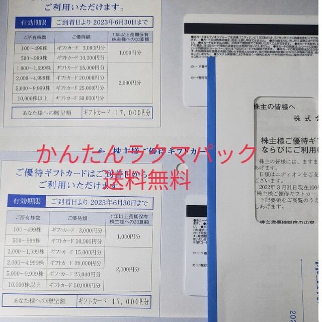 優待券/割引券エディオン 株主優待 49,000円