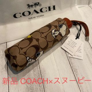 コーチ(COACH) 日傘/雨傘の通販 500点以上 | コーチのレディースを買う