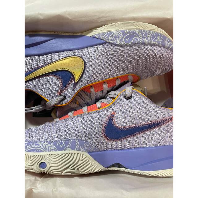 29センチ!即日配送!ナイキ レブロン Lebron 20