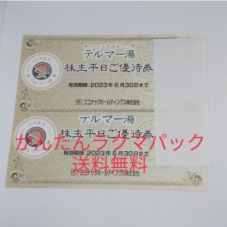 エコナック テルマー湯 株主優待券 2枚(その他)