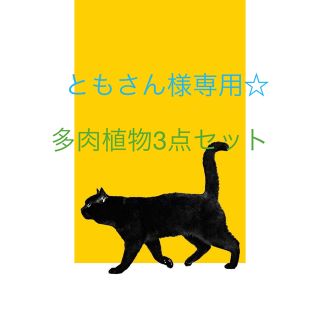 ともさん様専用出品ページです！(その他)