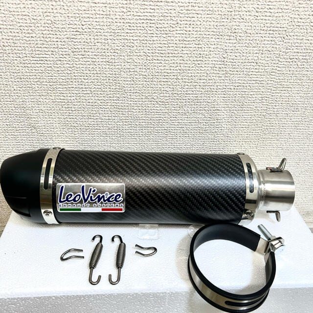 LeoVince スリップオンマフラー 卸し売り購入 nadievanwijk.nl