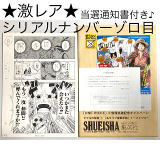 ★激レア★ ⭐︎懸賞当選品⭐︎  ワンピース 複製原画♪ 当選通知書付き⭐︎(その他)