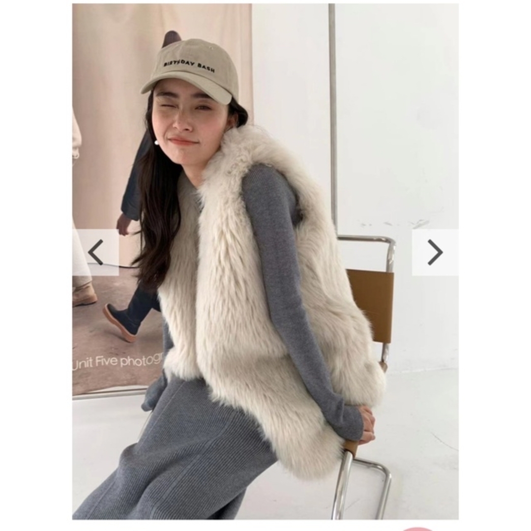 新品未使用】バースデーバッシュ ファーベストVEGAN FUR GILET | www ...