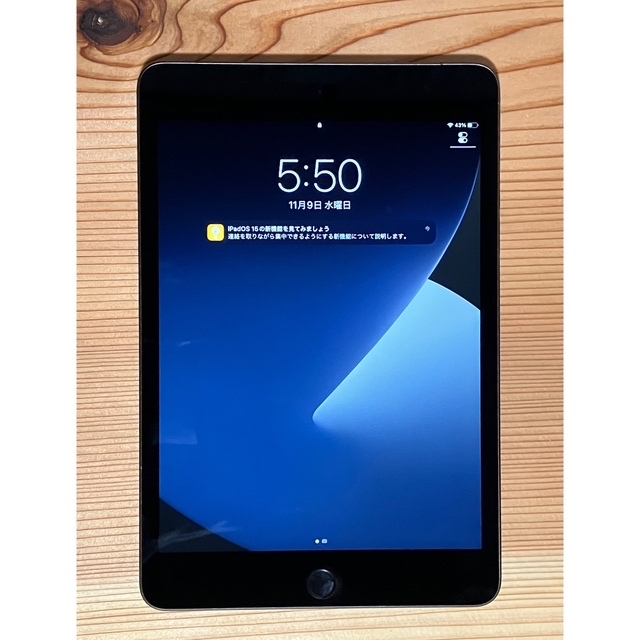 iPad mini5 256GB Cellular スペースグレイ simフリー cinema.sk