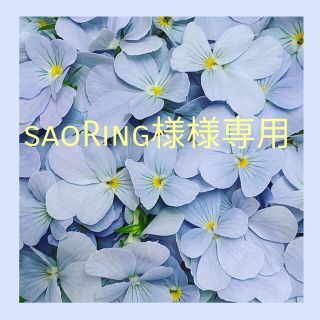 saoRing様様専用(その他)