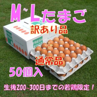 12/5発送【訳あり品+通常品混合】M~L50個(野菜)