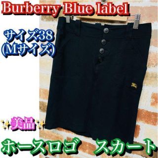 バーバリーブルーレーベル(BURBERRY BLUE LABEL)の美品✨Burberry Blue label スカート　サイズ38 ブラック(ひざ丈スカート)