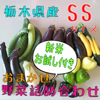 おまかせ野菜詰め合わせBOX『新米お試し付き』【SS】(野菜)